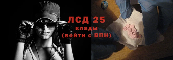 прущие крисы Бородино