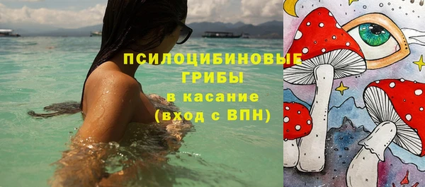 амф Бугульма