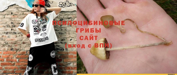 прущие крисы Бородино