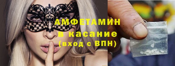 прущие крисы Бородино