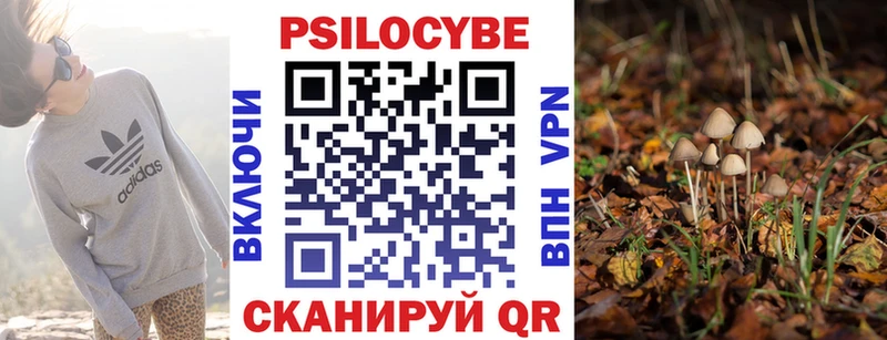 Галлюциногенные грибы Psilocybe  Верхний Уфалей 
